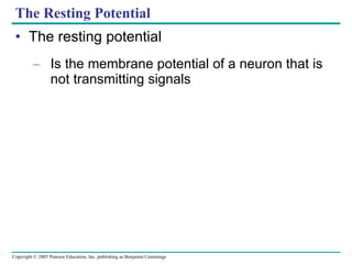 The Resting Potential The resting potential Is the membrane potential of a neuron that is not transmitting signals 