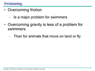 Swimming Overcoming friction Is a major problem for swimmers Overcoming gravity is less of a problem for swimmers Than for animals that move on land or fly 