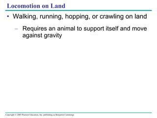 Locomotion on Land Walking, running, hopping, or crawling on land Requires an animal to support itself and move against gravity 