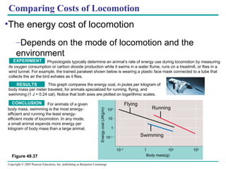 CONCLUSION For animals of a given body mass, swimming is the most energy-efficient and running the least energy-efficient mode of locomotion. In any mode,  a small animal expends more energy per kilogram of body mass than a large animal. CONCLUSION The energy cost of locomotion Depends on the mode of locomotion and the  environment Figure 49.37 Comparing Costs of Locomotion Flying Running  Swimming 10 –3 10 3 10 6 1 10 –1 10 10 2 1 Body mass(g) Energy cost (J/Kg/m) This graph compares the energy cost, in joules per kilogram of body mass per meter traveled, for animals specialized for running, flying, and swimming (1 J = 0.24 cal). Notice that both axes are plotted on logarithmic scales. RESULTS Physiologists typically determine an animal’s rate of energy use during locomotion by measuring  its oxygen consumption or carbon dioxide production while it swims in a water flume, runs on a treadmill, or flies in a   wind tunnel. For example, the trained parakeet shown below is wearing a plastic face mask connected to a tube that  collects the air the bird exhales as it flies. EXPERIMENT 