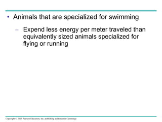 Animals that are specialized for swimming Expend less energy per meter traveled than equivalently sized animals specialized for flying or running 