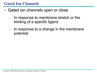 Gated Ion Channels Gated ion channels open or close In response to membrane stretch or the binding of a specific ligand In response to a change in the membrane potential 