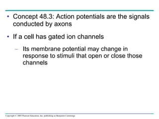 Concept 48.3: Action potentials are the signals conducted by axons If a cell has gated ion channels Its membrane potential may change in response to stimuli that open or close those channels 