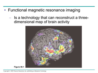 Functional magnetic resonance imaging Is a technology that can reconstruct a three-dimensional map of brain activity Figure 48.1 