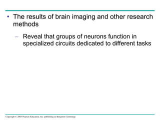 The results of brain imaging and other research methods Reveal that groups of neurons function in specialized circuits dedicated to different tasks 