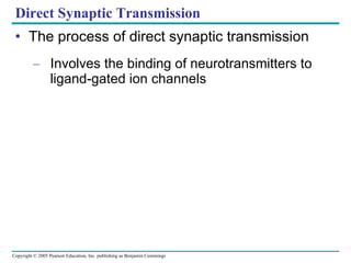 Direct Synaptic Transmission The process of direct synaptic transmission Involves the binding of neurotransmitters to ligand-gated ion channels 
