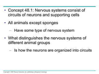 Concept 48.1: Nervous systems consist of circuits of neurons and supporting cells All animals except sponges Have some type of nervous system What distinguishes the nervous systems of different animal groups Is how the neurons are organized into circuits 