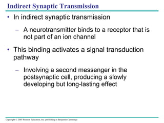 Indirect Synaptic Transmission In indirect synaptic transmission A neurotransmitter binds to a receptor that is not part of an ion channel This binding activates a signal transduction pathway Involving a second messenger in the postsynaptic cell, producing a slowly developing but long-lasting effect 