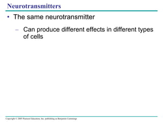 Neurotransmitters The same neurotransmitter Can produce different effects in different types of cells 