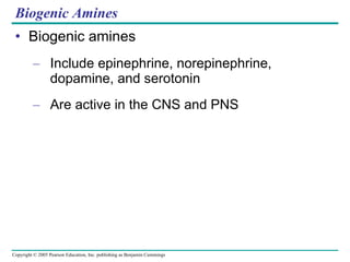 Biogenic Amines Biogenic amines  Include epinephrine, norepinephrine, dopamine, and serotonin Are active in the CNS and PNS 
