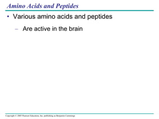 Amino Acids and Peptides Various amino acids and peptides Are active in the brain 
