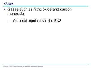 Gases Gases such as nitric oxide and carbon monoxide Are local regulators in the PNS 