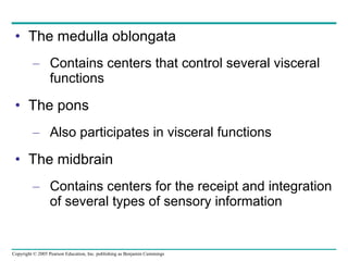 The medulla oblongata Contains centers that control several visceral functions The pons Also participates in visceral functions The midbrain Contains centers for the receipt and integration of several types of sensory information 