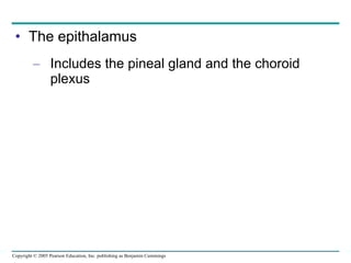 The epithalamus Includes the pineal gland and the choroid plexus 