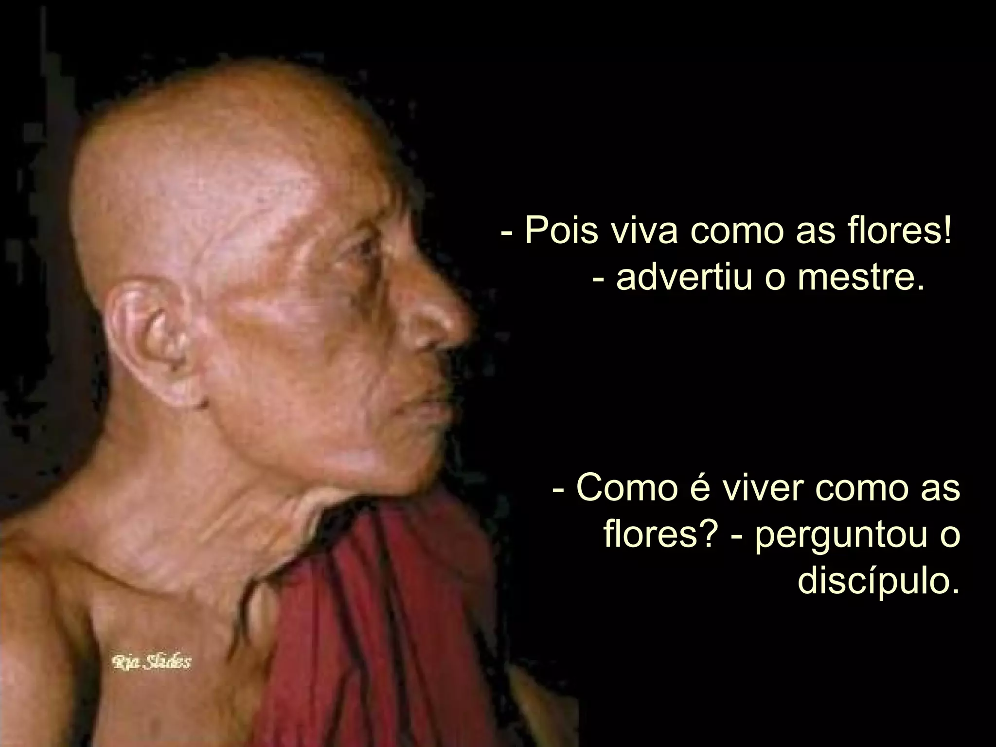 - Pois viva como as flores! - advertiu o mestre. - Como é viver como as flores? - perguntou o discípulo.