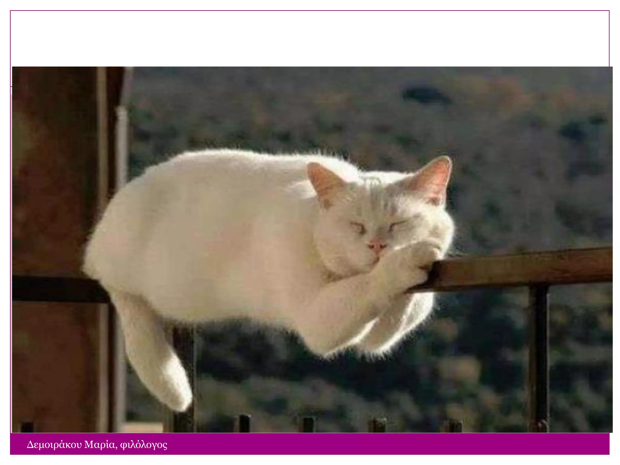 Δεμοιράκου Μαρία, φιλόλογος
12
 