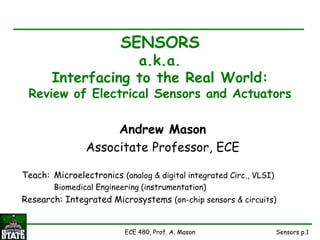 Sensors p.1
ECE 480, Prof. A. Mason
SENSORS
a.k.a.
Interfacing to the Real World:
Review of Electrical Sensors and Actuators
Andrew Mason
Associtate Professor, ECE
Teach: Microelectronics (analog & digital integrated Circ., VLSI)
Biomedical Engineering (instrumentation)
Research: Integrated Microsystems (on-chip sensors & circuits)
 