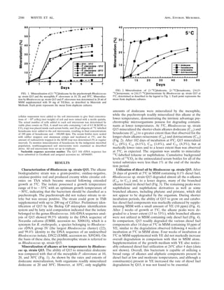 cellular suspension were added to the soil microcosms to give ﬁnal concentra-
tions of ϳ108
cells/g (wet weight) of soil and were mixed with a sterile spatula.
The actual number of cells added to each soil microcosm was determined by
viable plate counts on TSA. A small test tube containing 1 ml of 0.5 M KOH (a
CO2 trap) was placed inside each serum bottle, and 20-␮l aliquots of 14
C-labelled
hexadecane were added to the soil microcosms, resulting in ﬁnal concentrations
of 100 ppm of hexadecane and ϳ100,000 dpm. The serum bottles were sealed
with rubber stoppers and aluminum crimps and incubated at 5°C, and the
amount of radioactivity trapped in the KOH trap was determined (9) at regular
intervals. To monitor mineralization of hexadecane by the indigenous microbial
population, nonbioaugmented soil microcosms were examined as described
above. All soil microcosms were set up in triplicate.
Nucleotide sequence accession number. The Q15 16S rDNA sequence has
been submitted to GenBank and assigned accession no. AF046885.
RESULTS
Characterization of Rhodococcus sp. strain Q15. The alkane
biodegradative strain was a gram-positive, oxidase-negative,
catalase-positive rod and produced creamy white circular col-
onies on TSA which became mucoid following extended
growth at 5°C. The isolate possessed a growth temperature
range of 0 to ϳ35°C with an optimum growth temperature of
ϳ30°C, indicating that the bacterium should be classiﬁed as a
psychrotroph. The psychrotroph did not reduce nitrate to ni-
trite but was urease positive. The strain could grow in TSB
supplemented with up to 200 mg of Cd/liter. Preliminary iden-
tiﬁcation of Q15 by the Biolog GP microplate identiﬁcation
system and by fatty acid composition indicated that the isolate
belonged to the genus Rhodococcus. 16S rDNA sequence anal-
ysis of Q15 showed 99.5% identity to the DNA sequence of
Nocardia calcarea (EMBL accession no. X80618), which is a
synonym for R. erythropolis, a species belonging to Rhodococ-
cus rDNA group IV (the largest Rhodococcus cluster) (22),
and 99.4% identity to the DNA sequence of an undescribed
Rhodococcus isolate, DN22 (EMBL accession no. X89240). On
the basis of these data, the psychrotrophic strain is referred to
as Rhodococcus sp. strain Q15.
Mineralization of alkanes at low temperatures by Rhodococ-
cus sp. strain Q15. The ability of Q15 to mineralize dodecane
was compared with that of the mesophile P. oleovorans at 10,
20, and 30°C (Fig. 1). As shown by the rates and extents of
dodecane mineralization, both organisms readily mineralized
dodecane at 20 and 30°C. However, at 10°C, only negligible
amounts of dodecane were mineralized by the mesophile,
while the psychrotroph readily mineralized this alkane at the
lower temperature, demonstrating the intrinsic advantage psy-
chrotrophic microorganisms possess for degrading contami-
nants at lower temperatures. At 5°C, Rhodococcus sp. strain
Q15 mineralized the shorter-chain alkanes dodecane (C12) and
hexadecane (C16) to a greater extent than that observed for the
longer-chain alkanes octacosane (C28) and dotriacontane (C32)
(Fig. 2). After 102 days of incubation at 0°C, Q15 mineralized
C12 (8%), C16 (6.1%), C28 (1.6%), and C32 (4.3%), but at
markedly lower rates and to a lesser extent than was observed
at 5°C, as expected. The organism was unable to mineralize
14
C-labelled toluene or naphthalene. Cumulative background
levels of 14
CO2 in the uninoculated serum bottles for all of the
tested substrates were less than 1% at the end of the incuba-
tion period.
Utilization of diesel oil by Rhodococcus sp. strain Q15. After
28 days of growth at 5°C in MSM containing 0.1% diesel fuel,
Rhodococcus sp. strain Q15 degraded almost all the n-alkanes
(C10 to C21) and, to a lesser degree, many of the branched
alkanes found in diesel fuel (Fig. 3). The remaining peaks were
naphthalene and naphthalene derivatives as well as some
branched alkanes, including phytane and pristane, which did
not appear to be degraded by the organism. During shorter
incubation periods, the ability of Q15 to grow on and catabo-
lize diesel fuel components was markedly enhanced by supple-
menting MSM with a small amount of YE (10 ppm) (Fig. 4).
After 2 weeks of growth at 5°C, the alkane peaks were de-
graded to a lesser extent (15 to 53%), while branched alkanes
were not utilized in MSM containing only diesel fuel (Fig. 4).
In comparison, Q15 readily degraded the various diesel fuel
components after 14 days at 5°C in MSM containing 10 ppm of
YE, similar to the degradation observed following 4 weeks of
incubation at 5°C in MSM alone. Four weeks of incubation at
5°C in MSM supplemented with YE did not markedly increase
overall degradation in comparison with that in MSM alone.
Supplementation of the growth medium with YE also notice-
ably enhanced diesel fuel utilization at 24°C after 4 days (data
not shown). Overall, this bacterium is capable of utilizing a
broad range of alkanes and aliphatic components present in
diesel fuel at low and moderate temperatures, and although a
constituent(s) present in YE increased the rate of diesel fuel
degradation by Q15, it was not found to be essential.
FIG. 1. Mineralization of [1-14
C]dodecane by the psychrotroph Rhodococcus
sp. strain Q15 and the mesophile P. oleovorans at 10, 20, and 30°C. Mineraliza-
tion by Rhodococcus sp. strain Q15 and P. oleovorans was determined in 20 ml of
MSM supplemented with 50 mg of YE/liter, as described in Materials and
Methods. Each point represents the mean from duplicate cultures.
FIG. 2. Mineralization of [1-14
C]dodecane, [1-14
C]hexadecane, [14,15-
14
C]octacosane, or [16,17-14
C]dotriacontane by Rhodococcus sp. strain Q15 at
5°C, determined as described in the legend to Fig. 1. Each point represents the
mean from duplicate cultures.
2580 WHYTE ET AL. APPL. ENVIRON. MICROBIOL.
 