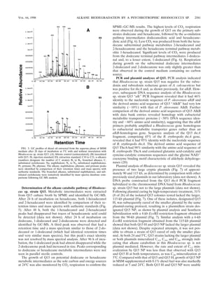 Determination of the alkane catabolic pathway of Rhodococ-
cus sp. strain Q15. Metabolic intermediates were extracted
from Q15 culture broth by SPME and identiﬁed by GC-MS.
After 24 h of incubation on hexadecane, both 1-hexadecanol
and 2-hexadecanol were identiﬁed by comparison of their re-
tention times and mass spectra with authentic standards (Fig.
5). After 48 h, both the 1-hexadecanol and 2-hexadecanol
peaks had disappeared but traces of hexadecanoic acid could
be detected (data not shown). After 24 h of incubation on
dodecane, 1-dodecanol and 2-dodecanone were detected and
identiﬁed by GC-MS. A third peak was observed that had a
retention time and a mass spectrum similar to those of 2-do-
decanol or 1-dodecanal (which had identical retention times
and very similar mass spectra), but this peak’s exact identity
was not resolved by mass spectral analysis. After 96 h of incu-
bation, the 1-dodecanol peak had almost disappeared while the
2-dodecanone peak had increased in size. Peaks corresponding
to dodecane or hexadecane metabolic intermediates were not
seen in parallel sterile controls.
The growth of Q15 on potential dodecane or hexadecane
metabolic intermediates as the sole carbon and energy sources
at 24°C was also monitored by CO2 respiration to conﬁrm the
SPME–GC-MS results. The highest levels of CO2 respiration
were observed during the growth of Q15 on the primary sub-
strates dodecane and hexadecane, followed by the ␻-oxidation
pathway intermediates dodecanedioic acid and hexadecane-
dioic acid (Fig. 6). Less CO2 was produced from both the hexa-
decane subterminal pathway metabolites 2-hexadecanol and
2-hexadecanone and the hexadecane terminal pathway metab-
olite 1-hexadecanol. Signiﬁcant levels of CO2 were produced
from the dodecane terminal pathway intermediates 1-dodeca-
nal and, to a lesser extent, 1-dodecanol (Fig. 6). Respiration
during growth on the subterminal dodecane intermediates
2-dodecanol and 2-dodecanone was only slightly greater than
that observed in the control medium containing no carbon
source.
PCR and plasmid analyses of Q15. PCR analysis indicated
that Rhodococcus sp. strain Q15 was negative for the rubre-
doxin and rubredoxin reductase genes of A. calcoaceticus but
was positive for thcA and, as shown previously, for alkB. How-
ever, subsequent DNA sequence analysis of the Rhodococcus
sp. strain Q15 “alk” PCR fragment revealed that it had 46%
identity to the nucleotide sequence of P. oleovorans alkB and
the derived amino acid sequence of Q15 “AlkB” had very low
similarity (ϳ10%) with that of P. oleovorans AlkB. Further
comparison of the derived amino acid sequences of Q15 AlkB
with data bank entries revealed homology with eubacterial
metabolite transporter proteins (ϳ50% DNA sequence iden-
tity and ϳ60% amino acid similarity), suggesting that the alkB
primers probably ampliﬁed a Rhodococcus gene homologous
to eubacterial metabolite transporter genes rather than an
alkB-homologous gene. Sequence analysis of the Q15 thcA
fragment, comprising 45% of the R. erythropolis thcA gene,
revealed that it had 95% identity with the nucleotide sequence
of R. erythropolis thcA. The derived amino acid sequence of
Q15 ThcA had 98% similarity with the amino acid sequence of
R. erythropolis ThcA and contained glutamic acid-catalytic and
cysteine-catalytic consensus sequences and the glycine NADϩ
coenzyme binding motif characteristic of aldehyde dehydroge-
nases (20).
Plasmid analysis of Rhodococcus sp. strain Q15 revealed the
presence of two large cryptic plasmids (Fig. 7) of approxi-
mately 90 and 115 kb, as determined by comparison with other
previously sized plasmids in our laboratory (data not shown). A
DNA probe constructed from the Q15 thcA PCR fragment
hybridized to the chromosomal DNA band from Rhodococcus
sp. strain Q15 but not to the large plasmids (data not shown).
Following plasmid curing by high-temperature treatment, 31%
(8 of 26) of the isolated Q15 colonies tested lacked the larger,
115-kb plasmid (Fig. 7). One of these isolates, designated Q15
H, was subsequently cured of the smaller plasmid by the same
plasmid-curing protocol, resulting in a plasmidless strain des-
ignated Q15 NP, as shown by plasmid analysis and Southern
hybridization with a 4-kb EcoRI restriction fragment obtained
from the 90-kb plasmid (Fig. 7). Similar analysis with a 6-kb
EcoRI restriction fragment obtained from the 115-kb plasmid
showed that both Q15 H and Q15 NP lacked the larger plasmid
(data not shown). Despite repeated attempts, it was not pos-
sible to obtain a strain of Q15 cured of only the smaller plas-
mid. At both 24 and 5°C, Q15 strains lacking the larger plasmid
or both plasmids mineralized C12, C16, and C28, strongly indi-
cating that alkane catabolism in this Rhodococcus sp. is not
plasmid mediated. However, the rate and extent of C12 min-
eralization by Q15 NP was less than that observed with Q15
and Q15 H at both temperatures, as was C28 mineralization at
5°C. Compared with that of Q15 and Q15 H, growth of Q15 NP
in MSM supplemented with 0.1% diesel fuel was also markedly
reduced at 5 and 24°C. Both Q15 H and Q15 NP were unable
FIG. 3. GC proﬁles of diesel oil extracted from the aqueous phase of MSM
medium after 28 days of incubation at 5°C with and without inoculation with
Rhodococcus sp. strain Q15. (A) Abiotic control (uninoculated); (B) inoculated
with Q15. IS, injection standard; ES, extraction standard; C10 to C21, n-alkanes
(numbers designate the number of C atoms); B1 to B5, branched alkanes; C,
substituted cyclohexane; Na, naphthalene; N1 to N4, substituted naphthalenes;
Pr, pristane; Ph, phytane. The alkane, naphthalene, phytane, and pristane peaks
were identiﬁed by comparison of their retention times and mass spectra with
authentic standards. The branched alkanes, substituted naphthalenes, and sub-
stituted cyclohexane were tentatively identiﬁed by mass spectra database com-
parisons following GC-MS analysis.
VOL. 64, 1998 ALKANE BIODEGRADATION BY A PSYCHROTROPHIC RHODOCOCCUS SP. 2581
 