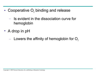 Copyright © 2005 Pearson Education, Inc. publishing as Benjamin Cummings
• Cooperative O2 binding and release
– Is evident in the dissociation curve for
hemoglobin
• A drop in pH
– Lowers the affinity of hemoglobin for O2
 