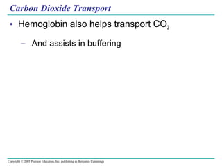 Copyright © 2005 Pearson Education, Inc. publishing as Benjamin Cummings
Carbon Dioxide Transport
• Hemoglobin also helps transport CO2
– And assists in buffering
 