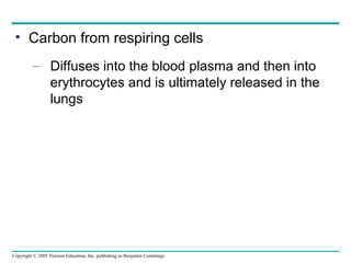 Copyright © 2005 Pearson Education, Inc. publishing as Benjamin Cummings
• Carbon from respiring cells
– Diffuses into the blood plasma and then into
erythrocytes and is ultimately released in the
lungs
 