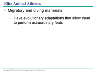 Copyright © 2005 Pearson Education, Inc. publishing as Benjamin Cummings
Elite Animal Athletes
• Migratory and diving mammals
– Have evolutionary adaptations that allow them
to perform extraordinary feats
 