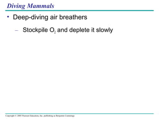 Copyright © 2005 Pearson Education, Inc. publishing as Benjamin Cummings
Diving Mammals
• Deep-diving air breathers
– Stockpile O2 and deplete it slowly
 