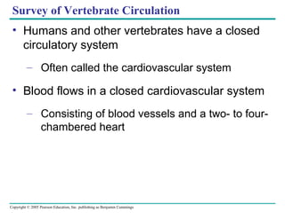 Copyright © 2005 Pearson Education, Inc. publishing as Benjamin Cummings
Survey of Vertebrate Circulation
• Humans and other vertebrates have a closed
circulatory system
– Often called the cardiovascular system
• Blood flows in a closed cardiovascular system
– Consisting of blood vessels and a two- to four-
chambered heart
 