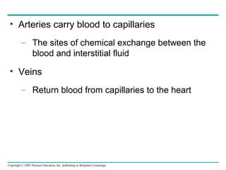 Copyright © 2005 Pearson Education, Inc. publishing as Benjamin Cummings
• Arteries carry blood to capillaries
– The sites of chemical exchange between the
blood and interstitial fluid
• Veins
– Return blood from capillaries to the heart
 