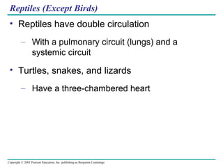 Copyright © 2005 Pearson Education, Inc. publishing as Benjamin Cummings
Reptiles (Except Birds)
• Reptiles have double circulation
– With a pulmonary circuit (lungs) and a
systemic circuit
• Turtles, snakes, and lizards
– Have a three-chambered heart
 