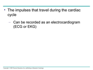 Copyright © 2005 Pearson Education, Inc. publishing as Benjamin Cummings
• The impulses that travel during the cardiac
cycle
– Can be recorded as an electrocardiogram
(ECG or EKG)
 