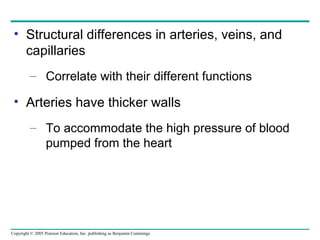 Copyright © 2005 Pearson Education, Inc. publishing as Benjamin Cummings
• Structural differences in arteries, veins, and
capillaries
– Correlate with their different functions
• Arteries have thicker walls
– To accommodate the high pressure of blood
pumped from the heart
 