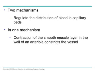 Copyright © 2005 Pearson Education, Inc. publishing as Benjamin Cummings
• Two mechanisms
– Regulate the distribution of blood in capillary
beds
• In one mechanism
– Contraction of the smooth muscle layer in the
wall of an arteriole constricts the vessel
 