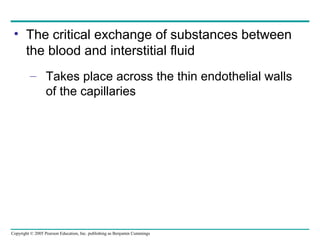 Copyright © 2005 Pearson Education, Inc. publishing as Benjamin Cummings
• The critical exchange of substances between
the blood and interstitial fluid
– Takes place across the thin endothelial walls
of the capillaries
 