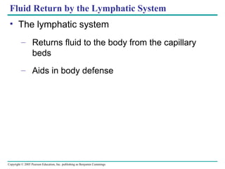 Copyright © 2005 Pearson Education, Inc. publishing as Benjamin Cummings
Fluid Return by the Lymphatic System
• The lymphatic system
– Returns fluid to the body from the capillary
beds
– Aids in body defense
 