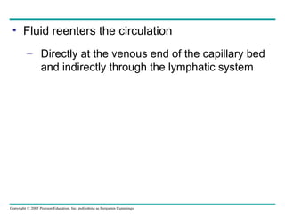 Copyright © 2005 Pearson Education, Inc. publishing as Benjamin Cummings
• Fluid reenters the circulation
– Directly at the venous end of the capillary bed
and indirectly through the lymphatic system
 