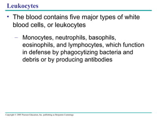 Copyright © 2005 Pearson Education, Inc. publishing as Benjamin Cummings
Leukocytes
• The blood contains five major types of white
blood cells, or leukocytes
– Monocytes, neutrophils, basophils,
eosinophils, and lymphocytes, which function
in defense by phagocytizing bacteria and
debris or by producing antibodies
 