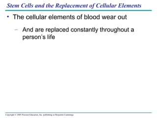 Copyright © 2005 Pearson Education, Inc. publishing as Benjamin Cummings
Stem Cells and the Replacement of Cellular Elements
• The cellular elements of blood wear out
– And are replaced constantly throughout a
person’s life
 