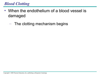 Copyright © 2005 Pearson Education, Inc. publishing as Benjamin Cummings
Blood Clotting
• When the endothelium of a blood vessel is
damaged
– The clotting mechanism begins
 