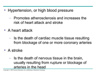 Copyright © 2005 Pearson Education, Inc. publishing as Benjamin Cummings
• Hypertension, or high blood pressure
– Promotes atherosclerosis and increases the
risk of heart attack and stroke
• A heart attack
– Is the death of cardiac muscle tissue resulting
from blockage of one or more coronary arteries
• A stroke
– Is the death of nervous tissue in the brain,
usually resulting from rupture or blockage of
arteries in the head
 