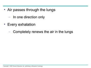 Copyright © 2005 Pearson Education, Inc. publishing as Benjamin Cummings
• Air passes through the lungs
– In one direction only
• Every exhalation
– Completely renews the air in the lungs
 