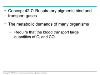 Copyright © 2005 Pearson Education, Inc. publishing as Benjamin Cummings
• Concept 42.7: Respiratory pigments bind and
transport gases
• The metabolic demands of many organisms
– Require that the blood transport large
quantities of O2 and CO2
 