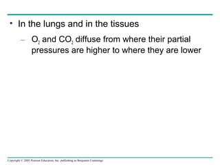 Copyright © 2005 Pearson Education, Inc. publishing as Benjamin Cummings
• In the lungs and in the tissues
– O2 and CO2 diffuse from where their partial
pressures are higher to where they are lower
 