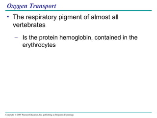 Copyright © 2005 Pearson Education, Inc. publishing as Benjamin Cummings
Oxygen Transport
• The respiratory pigment of almost all
vertebrates
– Is the protein hemoglobin, contained in the
erythrocytes
 