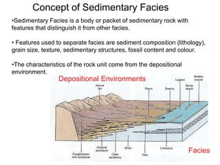 •Sedimentary Facies is a body or packet of sedimentary rock with
features that distinguish it from other facies.
• Features used to separate facies are sediment composition (lithology),
grain size, texture, sedimentary structures, fossil content and colour.
•The characteristics of the rock unit come from the depositional
environment.
Facies
Depositional Environments
Concept of Sedimentary Facies
 