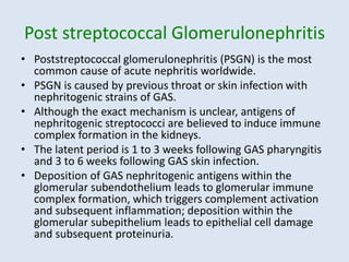 48081 introduction to streptococcus .ppt