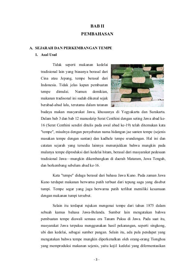 48148363 Makalah Biologi Tentang Tempe