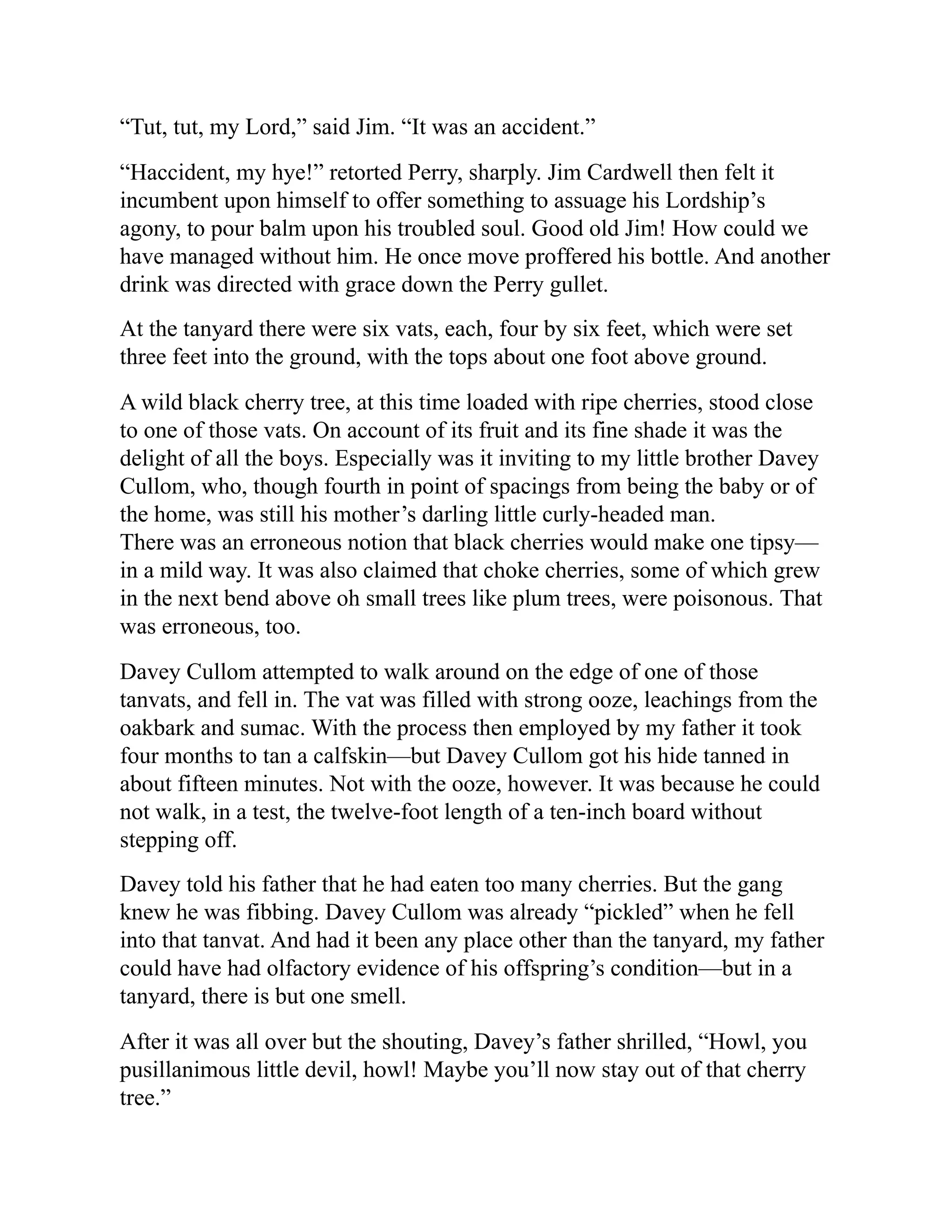 “Tut, tut, my Lord,” said Jim. “It was an accident.”
“Haccident, my hye!” retorted Perry, sharply. Jim Cardwell then felt it
incumbent upon himself to offer something to assuage his Lordship’s
agony, to pour balm upon his troubled soul. Good old Jim! How could we
have managed without him. He once move proffered his bottle. And another
drink was directed with grace down the Perry gullet.
At the tanyard there were six vats, each, four by six feet, which were set
three feet into the ground, with the tops about one foot above ground.
A wild black cherry tree, at this time loaded with ripe cherries, stood close
to one of those vats. On account of its fruit and its fine shade it was the
delight of all the boys. Especially was it inviting to my little brother Davey
Cullom, who, though fourth in point of spacings from being the baby or of
the home, was still his mother’s darling little curly-headed man.
There was an erroneous notion that black cherries would make one tipsy—
in a mild way. It was also claimed that choke cherries, some of which grew
in the next bend above oh small trees like plum trees, were poisonous. That
was erroneous, too.
Davey Cullom attempted to walk around on the edge of one of those
tanvats, and fell in. The vat was filled with strong ooze, leachings from the
oakbark and sumac. With the process then employed by my father it took
four months to tan a calfskin—but Davey Cullom got his hide tanned in
about fifteen minutes. Not with the ooze, however. It was because he could
not walk, in a test, the twelve-foot length of a ten-inch board without
stepping off.
Davey told his father that he had eaten too many cherries. But the gang
knew he was fibbing. Davey Cullom was already “pickled” when he fell
into that tanvat. And had it been any place other than the tanyard, my father
could have had olfactory evidence of his offspring’s condition—but in a
tanyard, there is but one smell.
After it was all over but the shouting, Davey’s father shrilled, “Howl, you
pusillanimous little devil, howl! Maybe you’ll now stay out of that cherry
tree.”
 