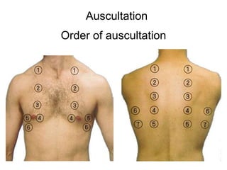 482003013-Physical-examination-in-respiratory-system-ppt.ppt